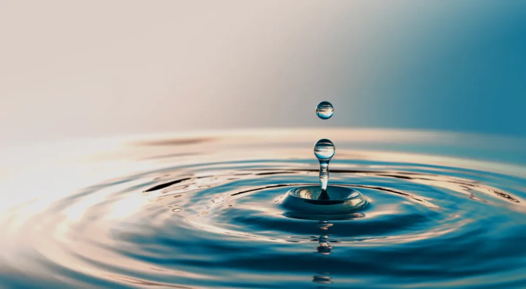 bad data in executive decision-making ripple effect across organizations