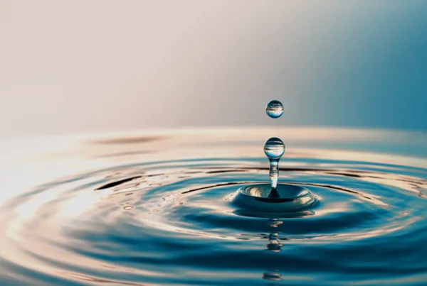 bad data in executive decision-making ripple effect across organizations