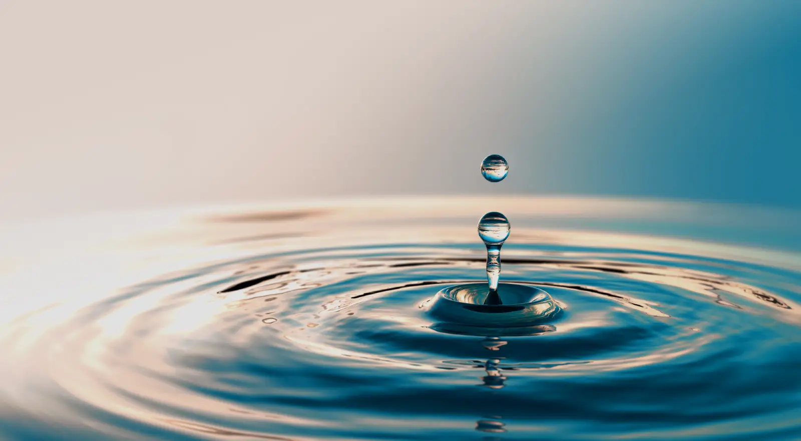 bad data in executive decision-making ripple effect across organizations